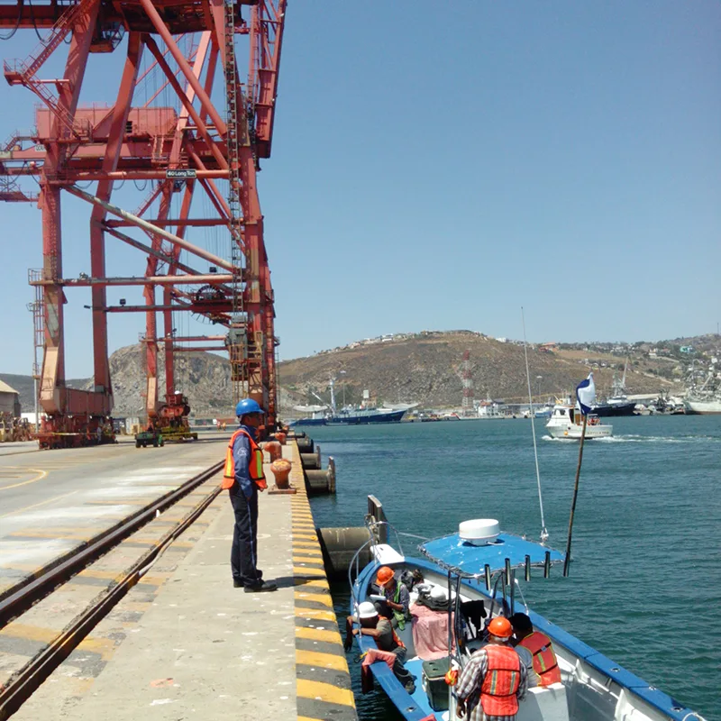 BUCEO
